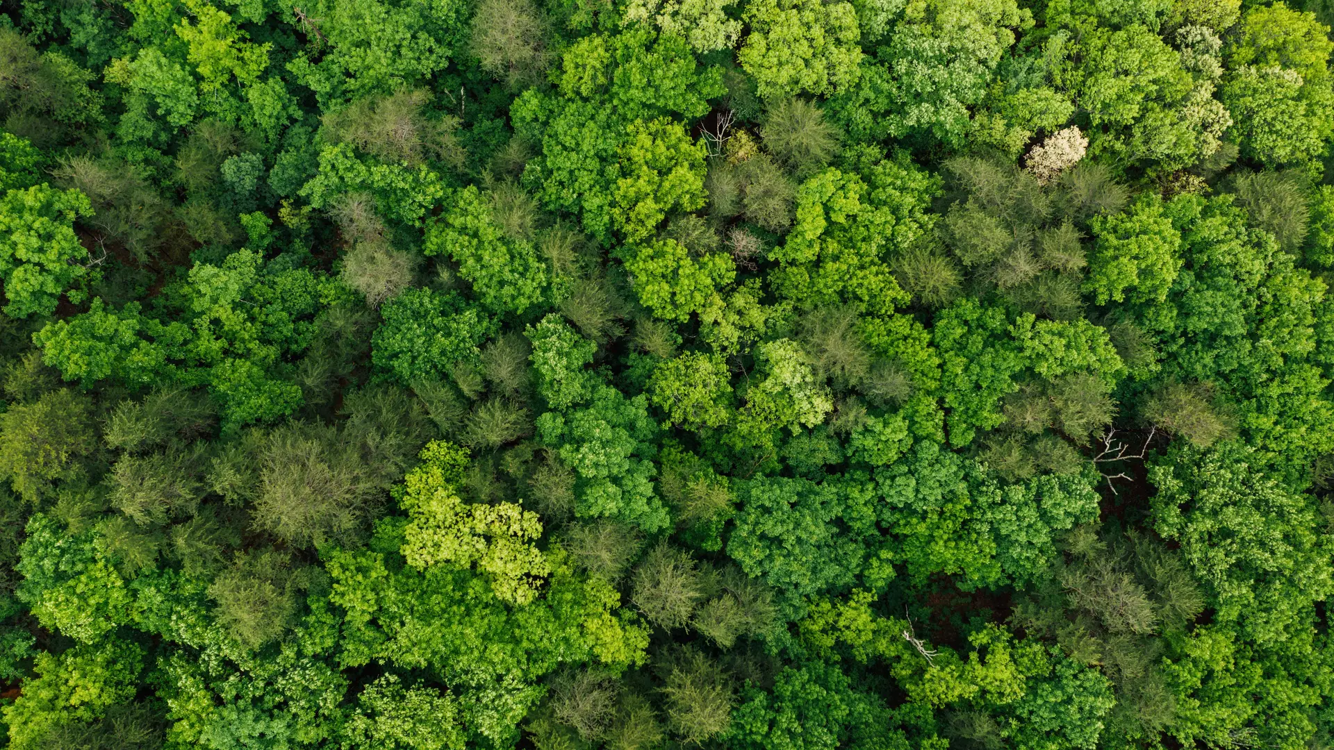 Responsible equipment and sustainability